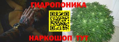 Альфа ПВП Тверь