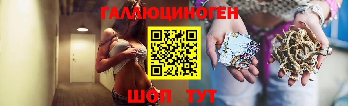 Галлюциногенные грибы Psilocybe Медногорск